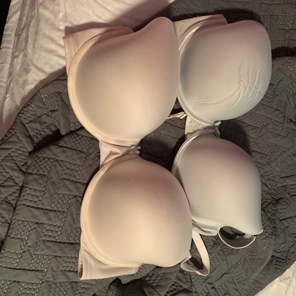 Torrid bra